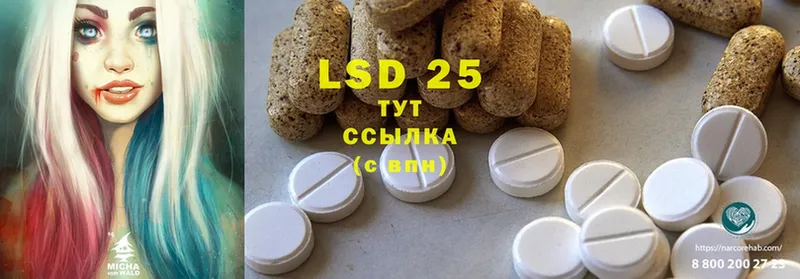 даркнет сайт  Нолинск  сайты даркнета наркотические препараты  LSD-25 экстази ecstasy 